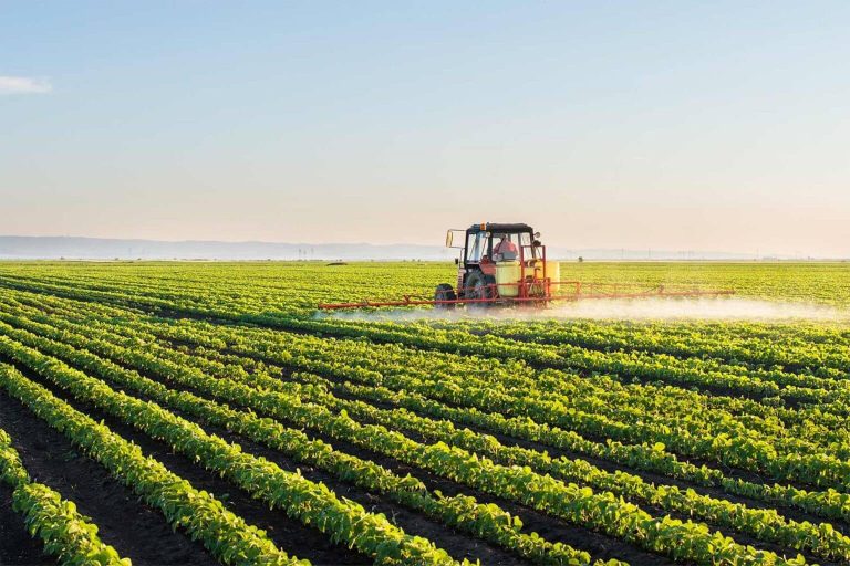 Agbiz/IDC Agribusiness Confidence Index Declines Mildly in Q2 2025