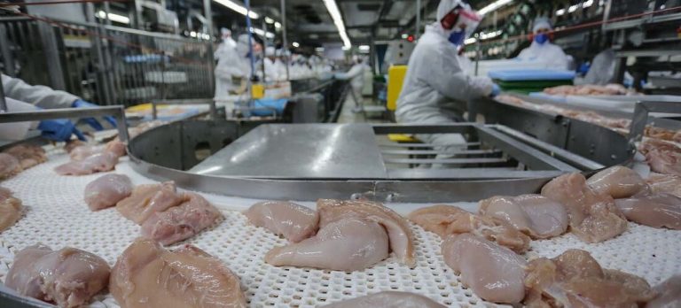 South Africa to Partially Lift Poultry Import Ban from Brazil