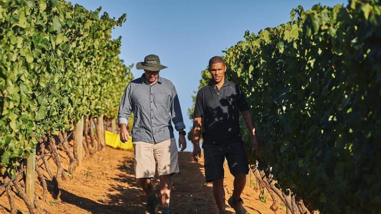 South Africa’s agricultural exports rise in first quarter of 2025