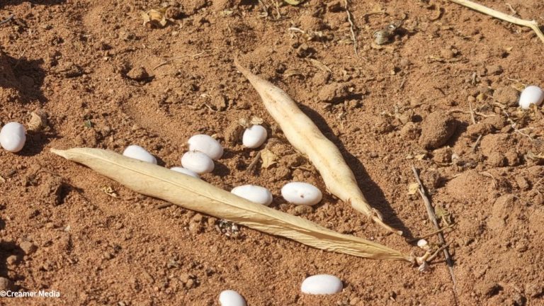 Small-scale Farmers Thrive with New Initiative