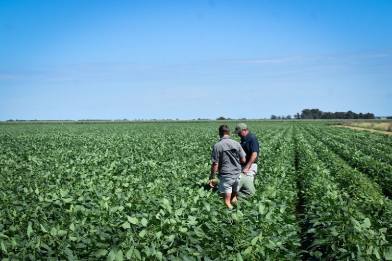 InteliGro Elevates Crop Advisors to Strategic Farm Partners Through Business-Focused Training