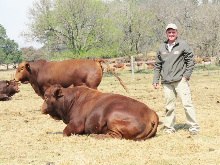 Hendy-Hein Mathews: Fifth-Generation Farmer Finds His Footing