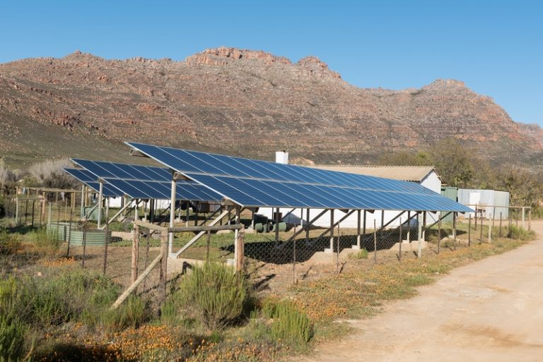 Western Cape farmers Free green help desks to boost resilience