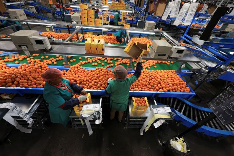 A Bitter Harvest: US Tariffs Slam South Africa’s Agricultural Sector