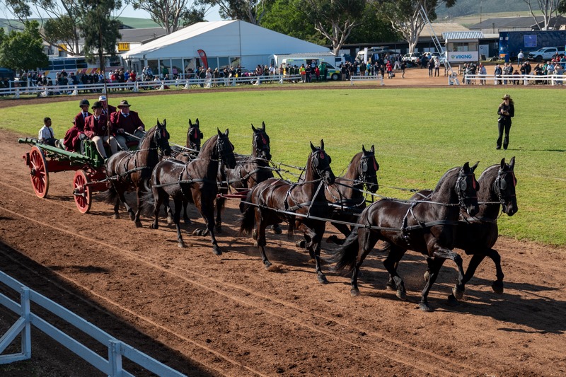 Swartlandskou vier 91ste jaar met trots