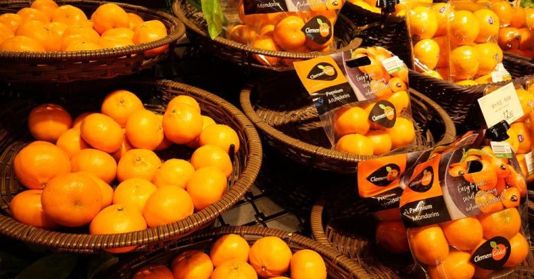 The Golden Way Success through Innovation and Quality –ClemenGold®’s Enduring Legacy