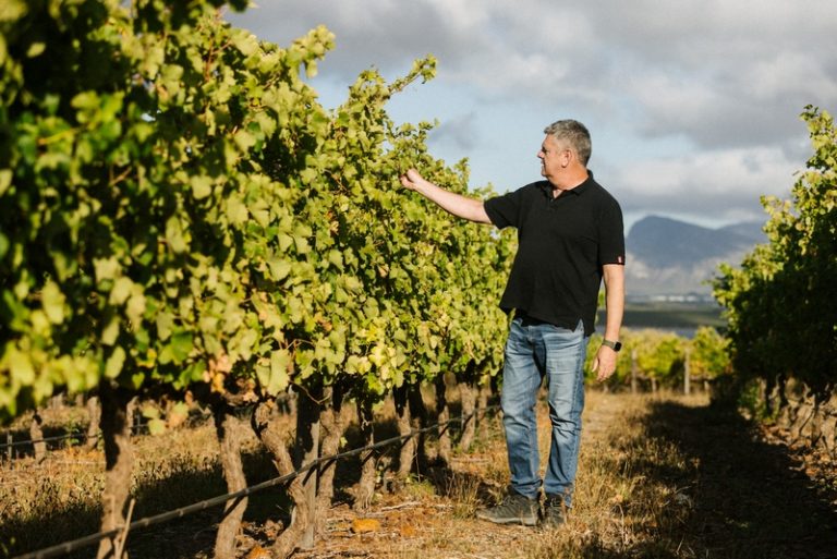 Benguela Cove Sets Gold Standard in Sustainable Winegrowing and Agri-Tourism