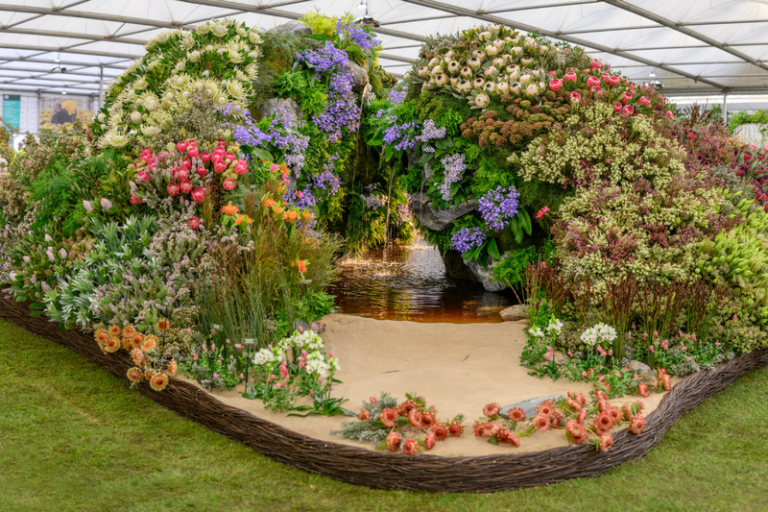 Overberg Abuzz This September: Chelsea Flowers in Stanford and Nampo Cape 2025