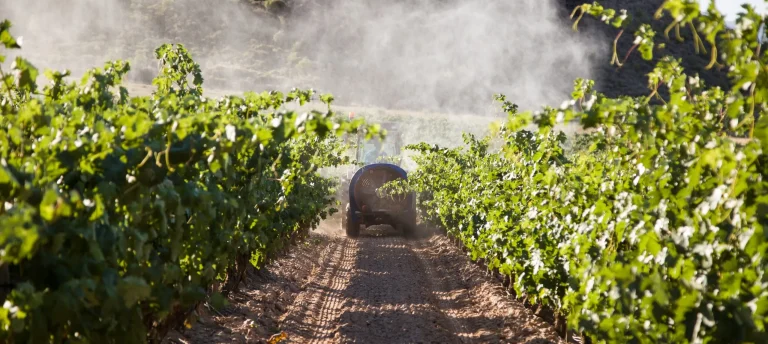 Historic Turning Point for South Africa’s Pesticide Policy Framework
