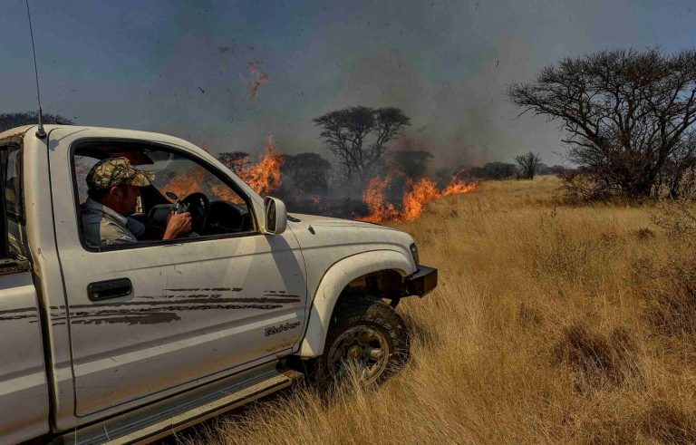 Rising Veldfires Threaten South Africa’s Food Security as Farmers Face Mounting Losses