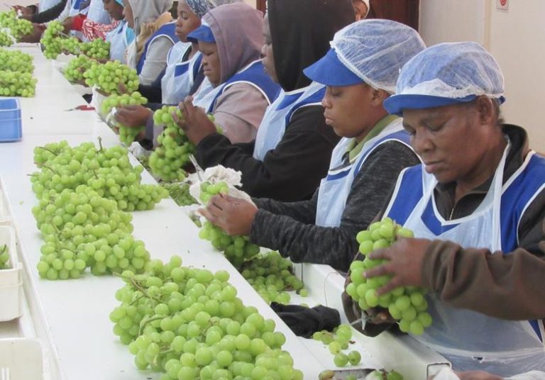 South African Agri-Logistics Achieves Global Recognition with Platinum Award