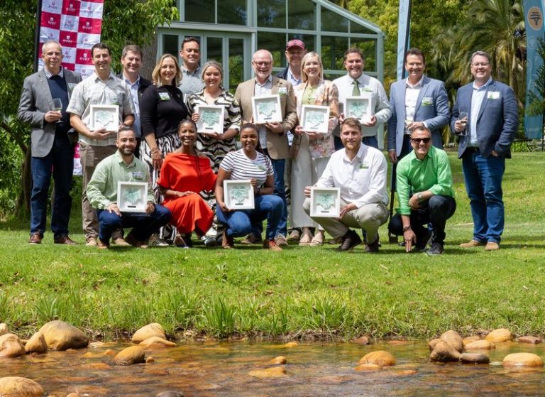 South Africa’s 2025 Top 10 Sauvignon Blancs Showcase Excellence and Sustainability