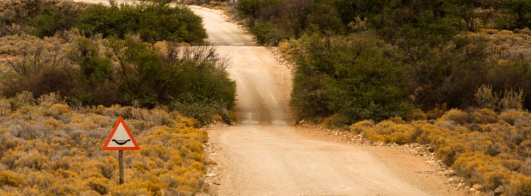 Saai Karoo Landboufees bring boere, jeug en gemeenskap saam in Laingsburg
