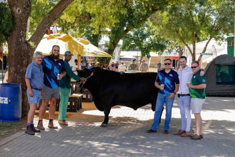 NAMPO ALFA 2025: Die Groot Finale van ’n Jaar van Landbou-uitnemendheid