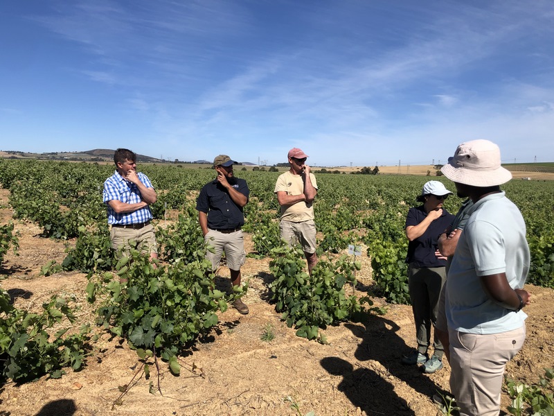 IMG_5205 (Copy) GEN-Z Vineyard Project