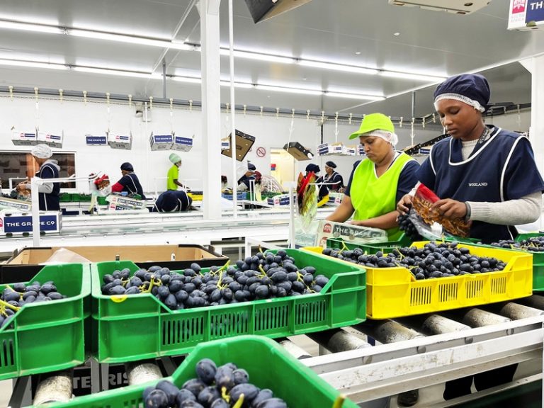 Momentum – South Africa’s Agriculture Drives Its Own Future