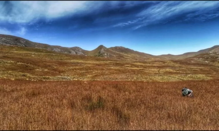 From Farm to Nature Reserve: Mount David Restores the Land