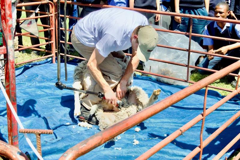 Saai Karoo Landboufees versterk momentum in landbou Saai Karoo Landboufees