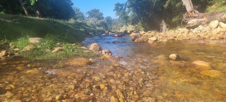 Unlocking Water’s Hidden Potential for Healthier Crops and Livestock