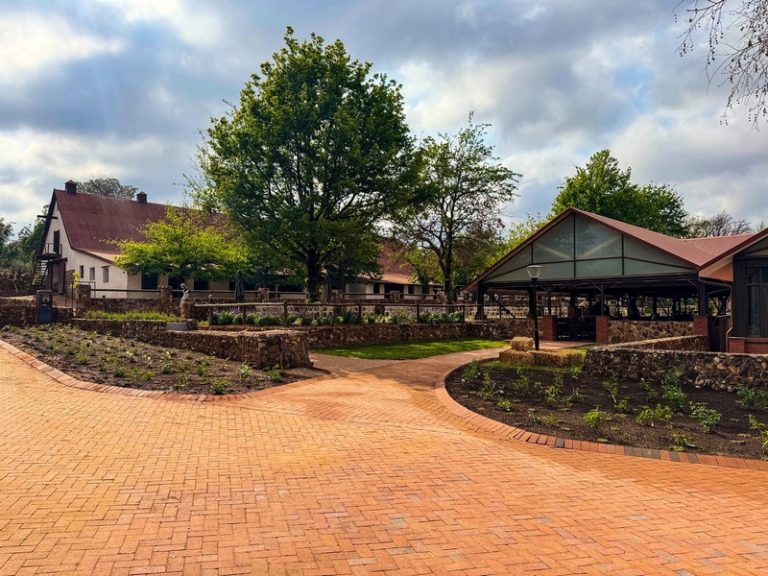 “Farm in the City”: How Irene Farm Sets the Gold Standard for Agritourism