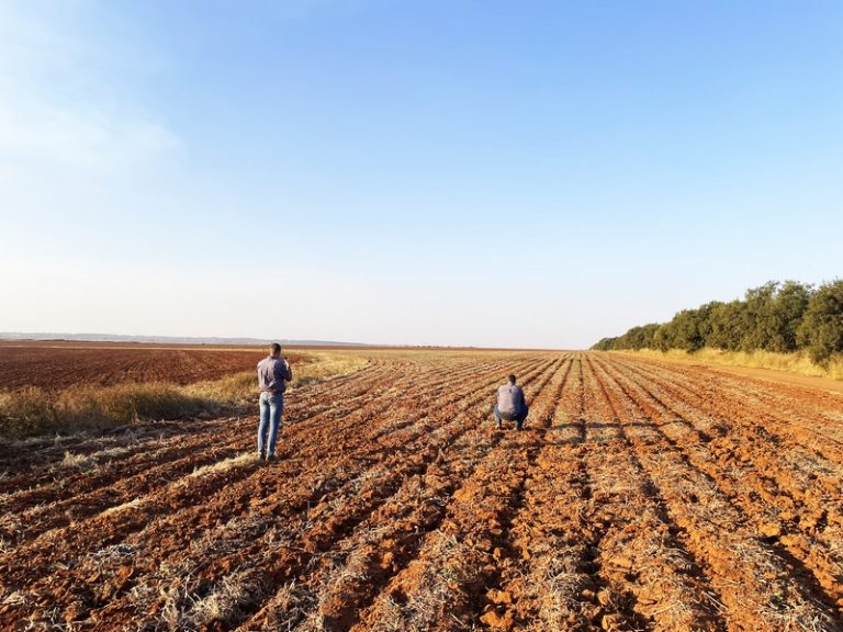Rovic Is Redefining Tillage to Break the Yield Barrier Beneath Your Soil