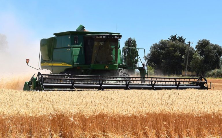 Grain SA: Year-Long Tariff Delay Sparks ‘Growing Doubts’ on SA Wheat Commitment