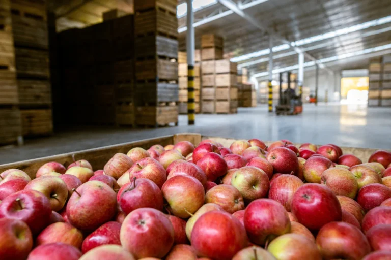 The Climate-Logistics Crisis: Why Global Fresh Fruit Imports are Failing