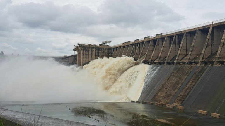 The Precision Pivot: Managing the Saturated North