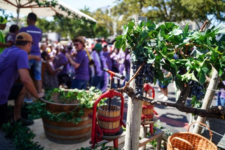 A Festival of Wine and Community as Stellenbosch Harvest Parade Returns