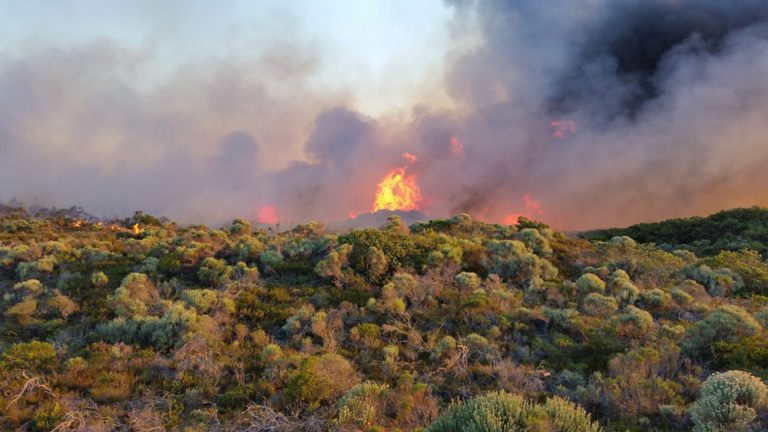 Western Cape’s Dual Crisis: A Blueprint for Resilience Amid Fire and Drought