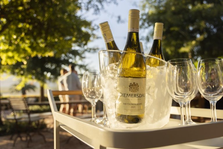 Harvest 2026 Celebrated Across Durbanville Wine Valley