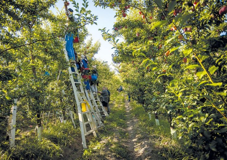 Growing Forward in a Changing World: Hortgro Technical Symposium 2026