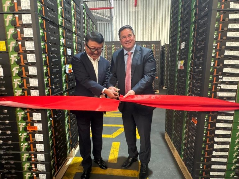 SA Ships First Stone Fruit to China, Marking a New Chapter for Fruit Exports