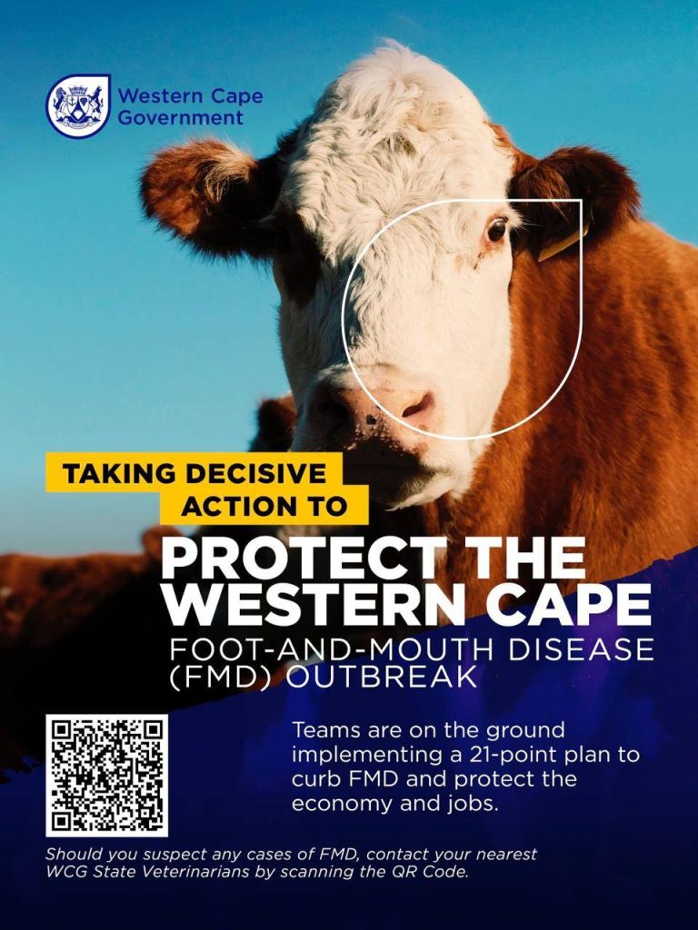Western Cape to Scale Up FMD Vaccine Drive to Over 400,000 Doses