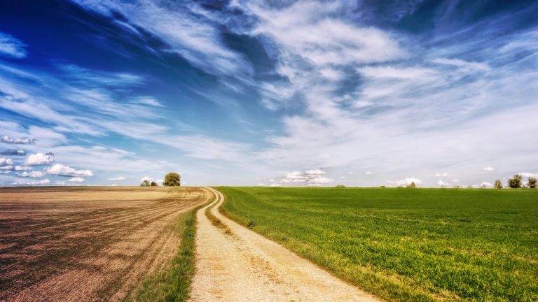 Data-Driven Lifeline: New Partnership to Fix Free State Farm Roads
