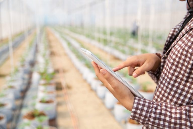Why Data and Research are the Lifeline of the Modern Farm