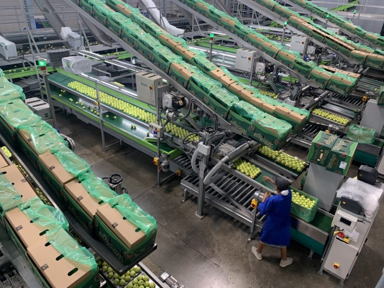 Ceres Fruit Growers Sets Global Benchmark for Food Safety