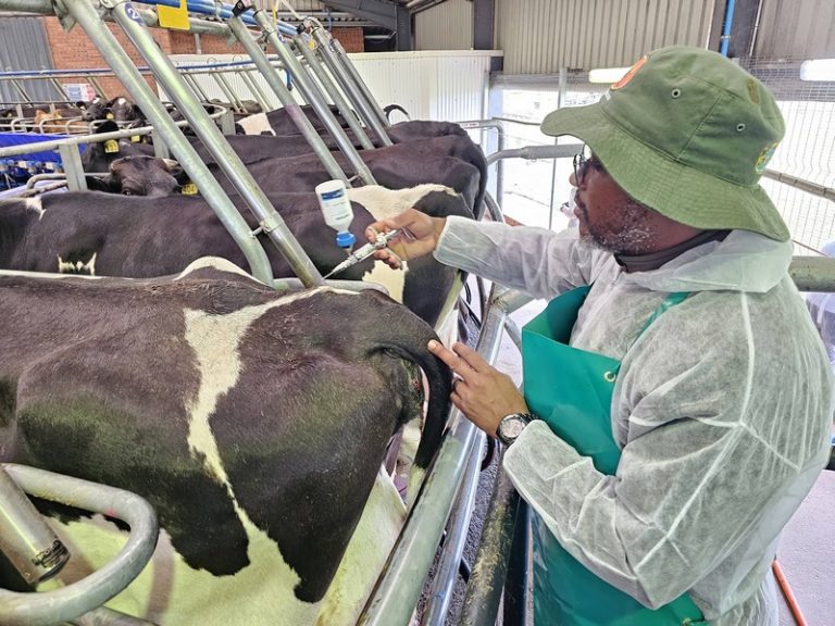Millions of Vaccine Doses Secured as SAHPRA Expedites FMD Response