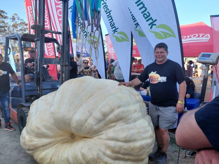 Piet Lotz verpletter Suidelike Halfrond-rekord met 1221 kg-pampoen