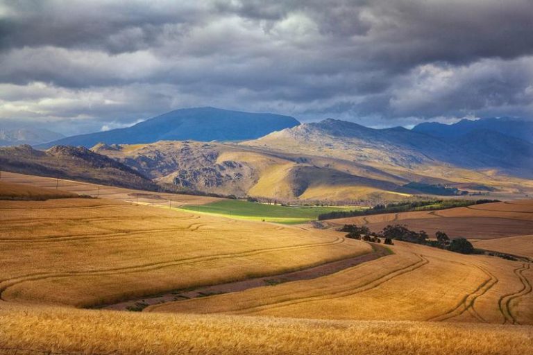 Biosecurity and Global Risks Drive Agribusiness Confidence Below Neutral