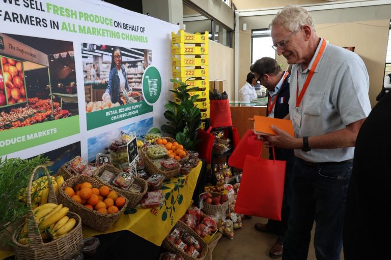 Dutch Innovation Mission Plants Seeds for a Regenerative Future in South Africa