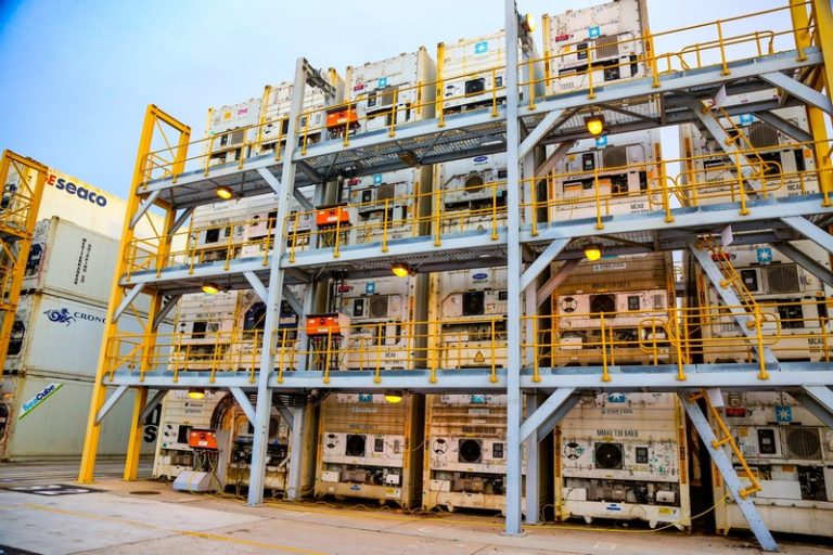 Transnet Port Terminals Firms Up Infrastructure for 2026 Citrus Surge