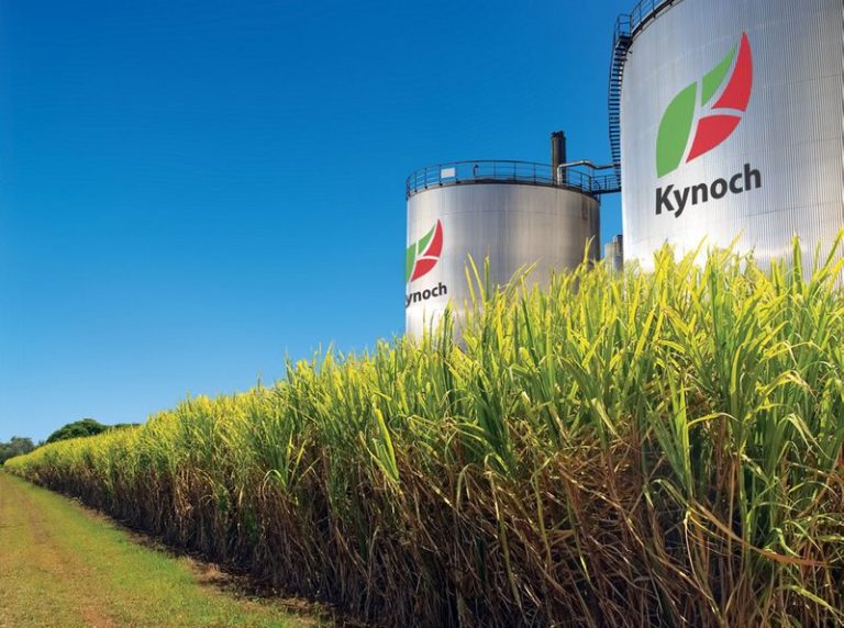 From Soil to Shipping: The R10 Per Litre Reality Check