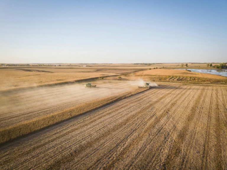 South African Agriculture Carves a New Path