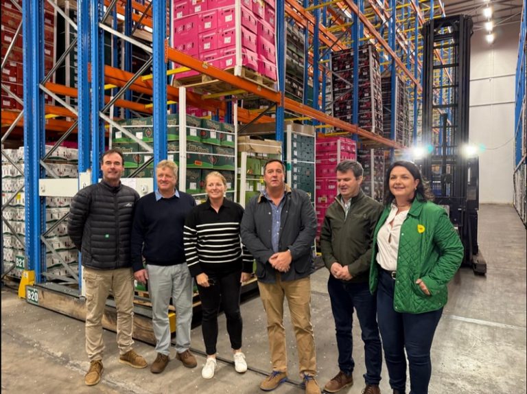 Race Against Time: Ceres Fruit Sector Faces Export Crisis After Devastating Storms