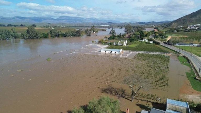 Double Disaster: National Reclassification Mobilizes Emergency Funding for Western Cape Agriculture