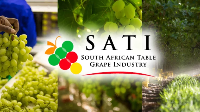 Record Harvest Meets Port Bottlenecks: 2025/26 Joint Grape Marketing Forum Season Wrap-Up