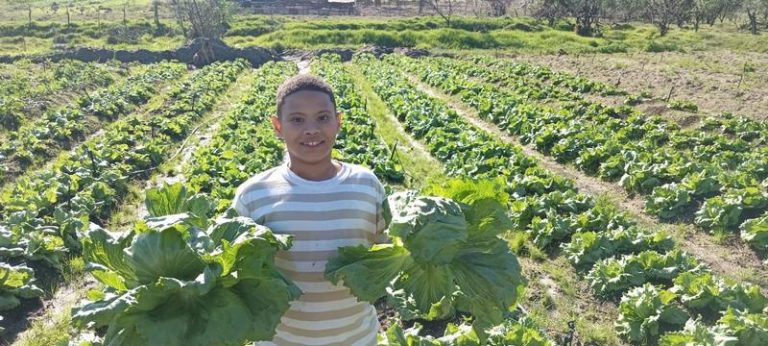 From Field to Table: Good Life Show Opens Local Agribusiness Trade Pathways