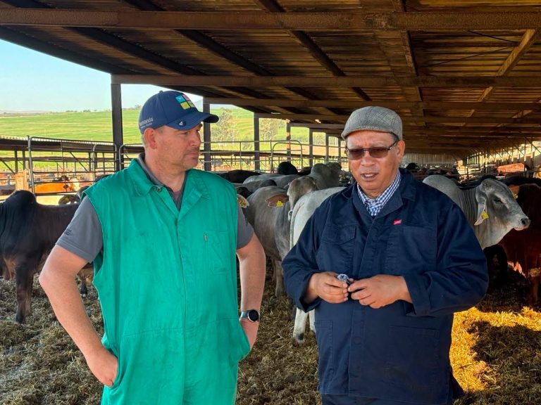 BKS-stryd: Wes-Kaapse benadering suksesvol toegepas by Braams Voerkraal