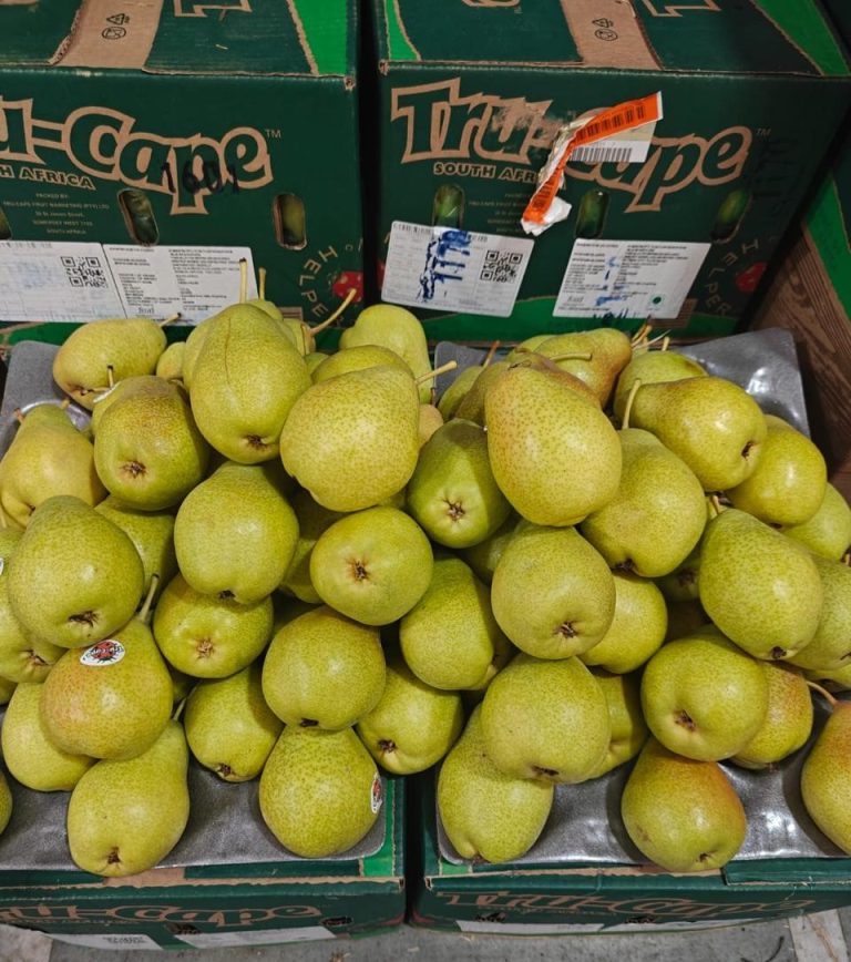Why India’s Changing Tariff Landscape is a Must-Watch for South African Fruit Growers